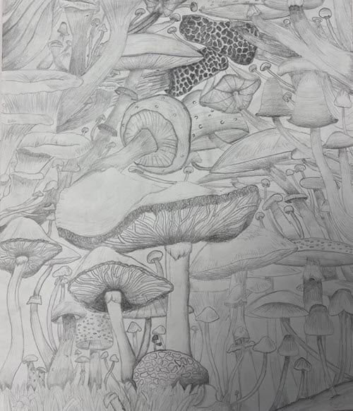 Art-3